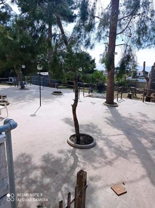 Appartamento In Villa Con Pineta Leporano Kültér fotó
